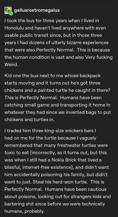 username gallusrostromegalus: I took the bus for three years when I lived in Honolulu and haven't lived anywhere with even usable public transit since, but in those three years I had dozens of utterly bizarre experiences that were also Perfectly Normal. This is because the human condition is vast and also Very fucking Weird.  Kid one the bus next to me whose backpack starts moving and it turns out he's got three chickens and a painted turtle he caught in there? This is Perfectly Normal. Humans have been catching small game and transporting it home in whatever they had since we invented bags to put chickens and turtles in.  I traded him three king-size snickers bars I had on me for the turtle because I vaguely remembered that many freshwater turtles were toxic to eat (incorrectly, as it turns out, but this was when I still had a Nokia Brick that lived a blissful, internet-free existence), and didn't want him accidentally poisoning his family, but didn't want to just. Steal his hard-won turtle. This is Perfectly Normal. Humans have been cautious about poisons, looking out for strangers kids and bartering shit since before we were technically humans, probably. 