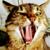 @wauz@mastodon.de