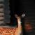 @koom@mastodon.social