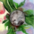 @caevye@mastodon.social